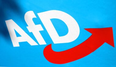 Bundestagswahl 2025: AfD weist Spenden-Vorwurf zurück