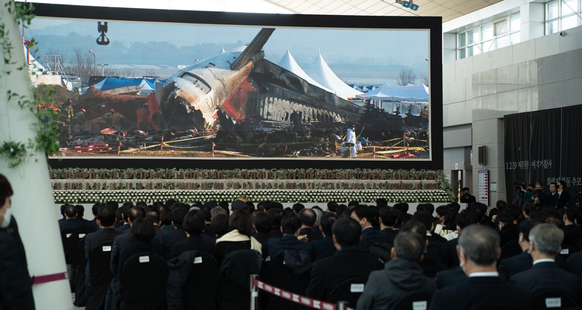 South Korea Requires Bird Detection Cameras After Deadly Plane Crash