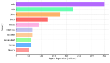 Countries with the most pigeons [OC]