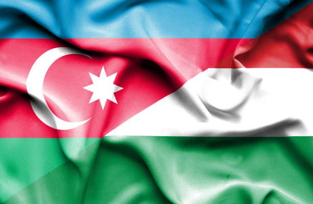 Cost of Azerbaijani-Hungarian plant project unveiled ABC.AZ