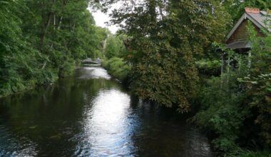 Teams work to curb environmental impact from oil spill in chalk stream