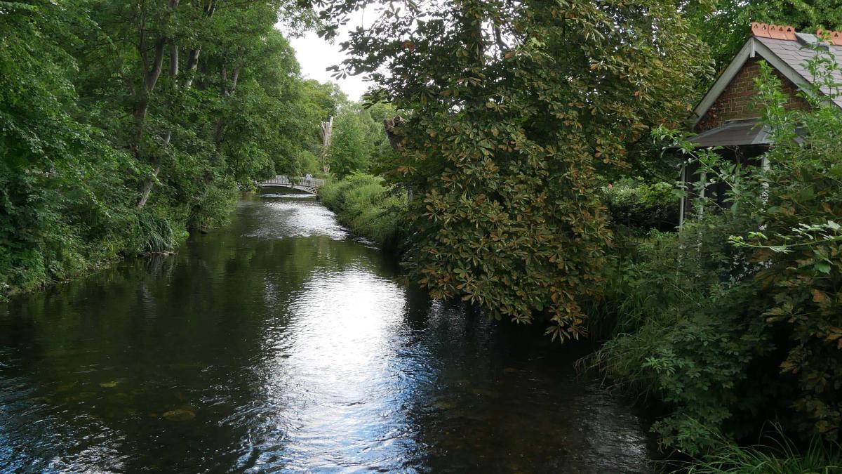 Teams work to curb environmental impact from oil spill in chalk stream
