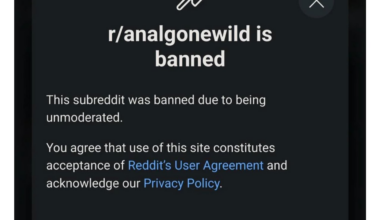 Reddit has fallen. There has been a sidewide mass ban-wave against LGBTQ and porn subs, likely in an attempt to please the new US administration.