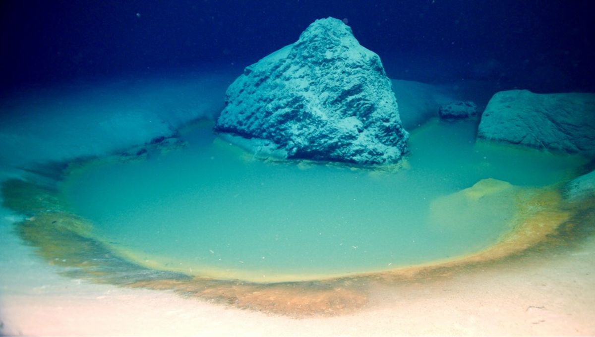 Rare Red Sea Brine Pools Are One Of The Most Extreme Environments On Earth