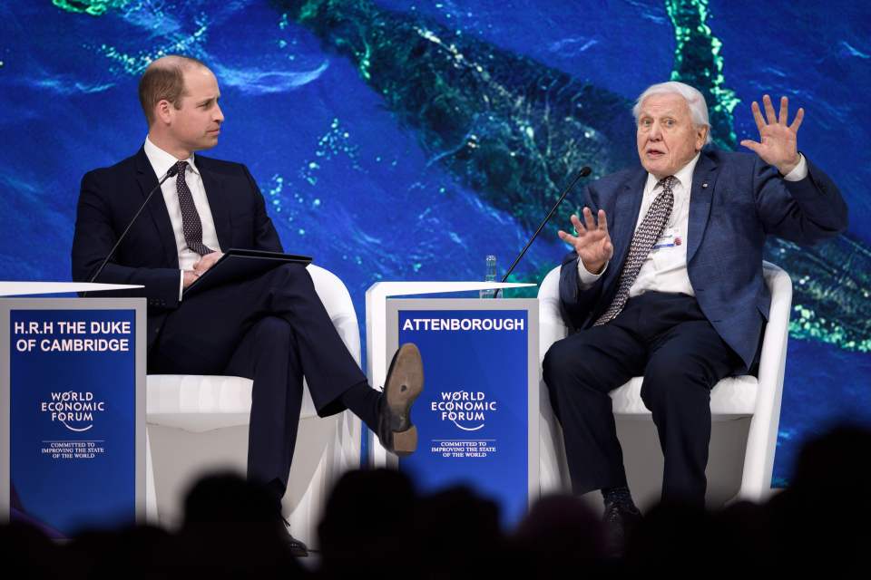 Prince William and David Attenborough in conversation at the World Economic Forum.