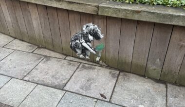 Is this Banksy??