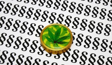 Auf Blatt voller Paragrafen liegt eine Cannabisdose.