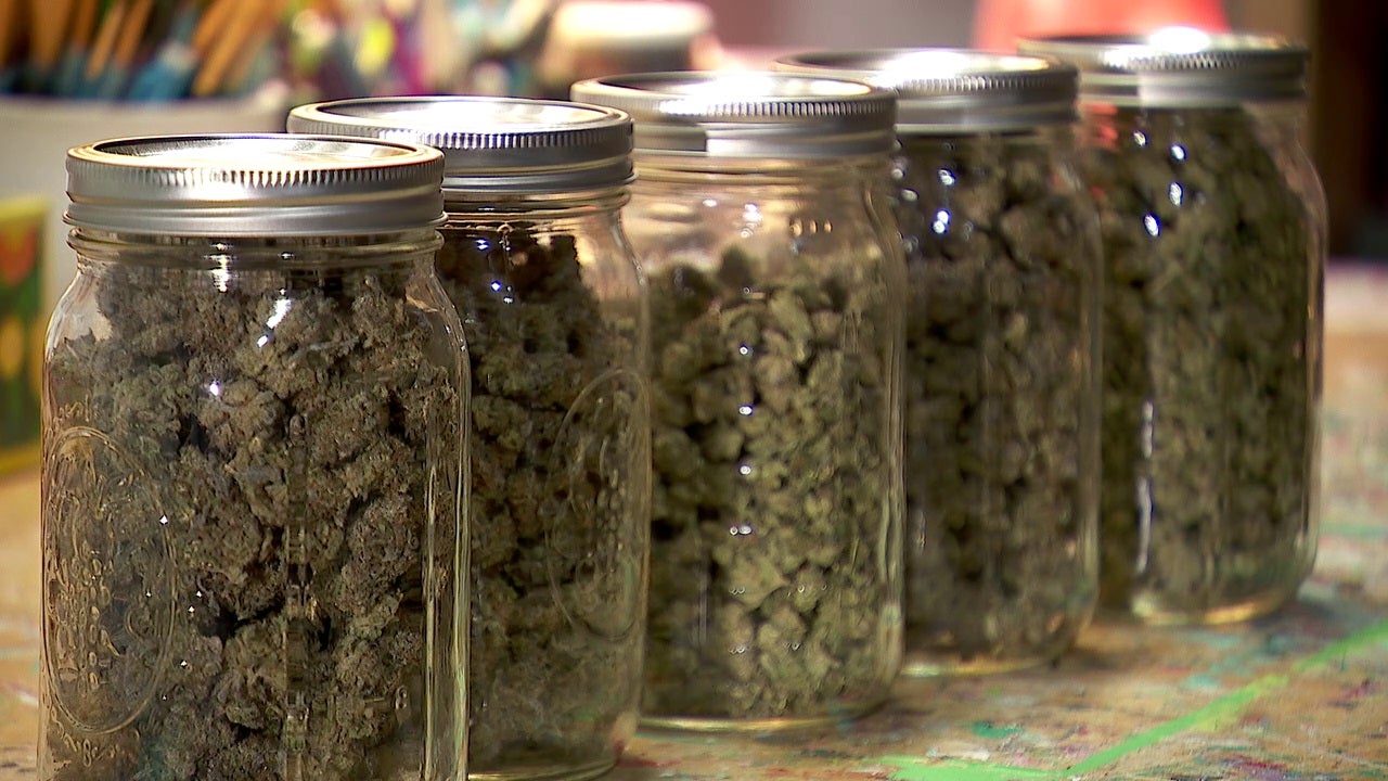 Minnesota to start accepting cannabis business license applications this month