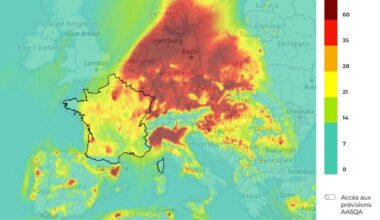 Another W for German style environmentalism