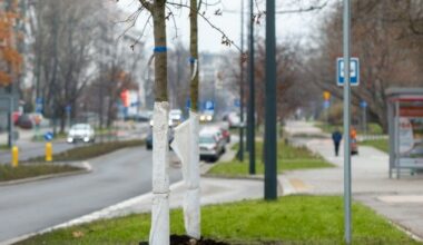 Wypadek na Sokratesa. Samochód potrącił kobietę na pasach - Aktualności