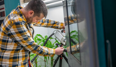 Why ‘leaky’ plants could accelerate climate change