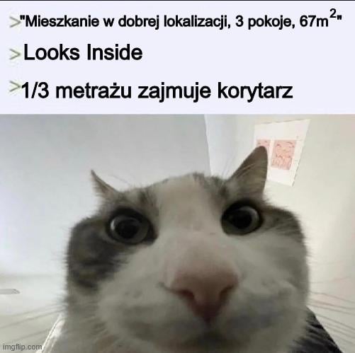 I tak z połową mieszkań.