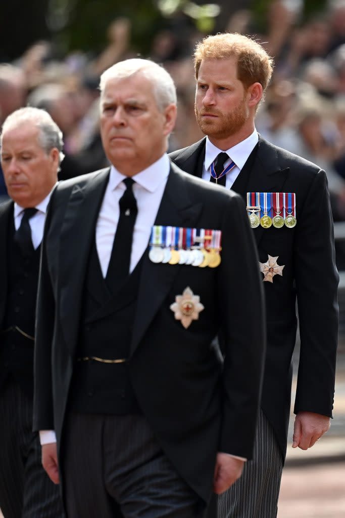 Prince Andrew and Prince Harry have reportedly been given a brutal nickname by Buckingham Palace staffers. Getty Images