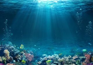 Deep sea influences pathways of pollution