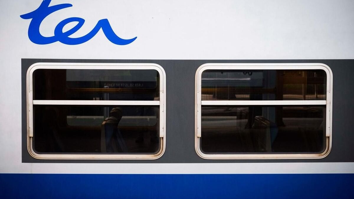 Nord : un homme armé d’un couteau maîtrisé par un élève gendarme à bord d’un train