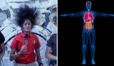 Disturbing reality of what 9 months in space can do to your body as NASA astronauts finally get given return date