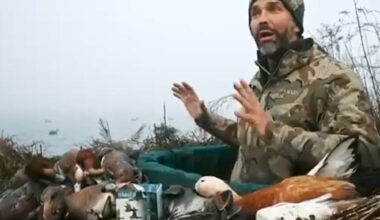 Fowl Play? Trump Jr. Investigated for Allegedly Shooting Rare Duck in Italy