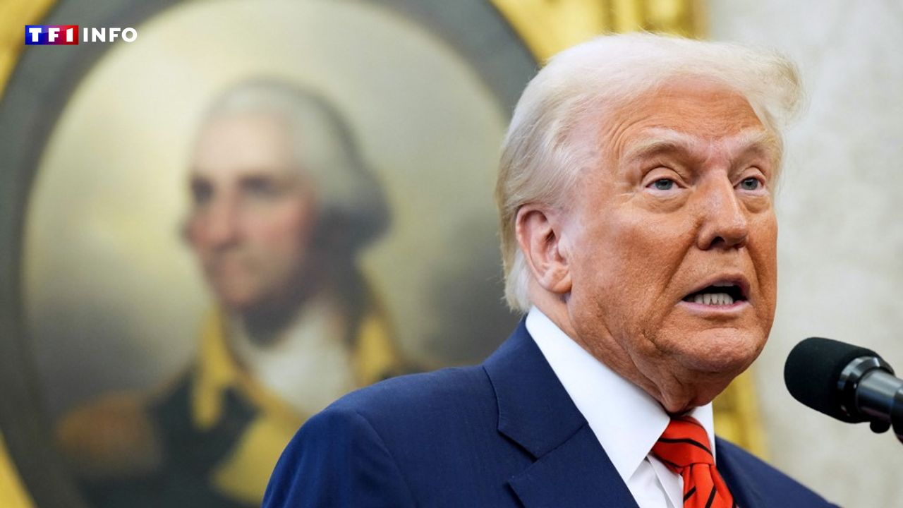 EN DIRECT - Prise de "contrôle" de Gaza : la Maison Blanche tente (tant bien que mal) de modérer les propos de Trump