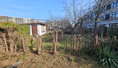 Kreative Ideen gesucht!