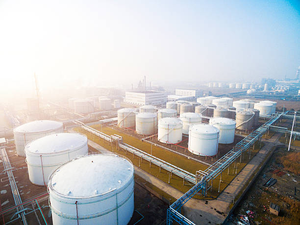 WTI Crude Oil Prices Drop: Can Bulls Defend Key Support?