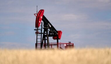 WTI oil prices down as Trump agrees to pause tariffs on Mexico, Canada