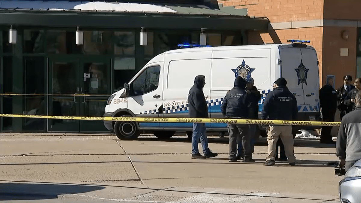 SWAT team responds after suspect disarms security guard, fires gunshot at Little Italy park – NBC Chicago