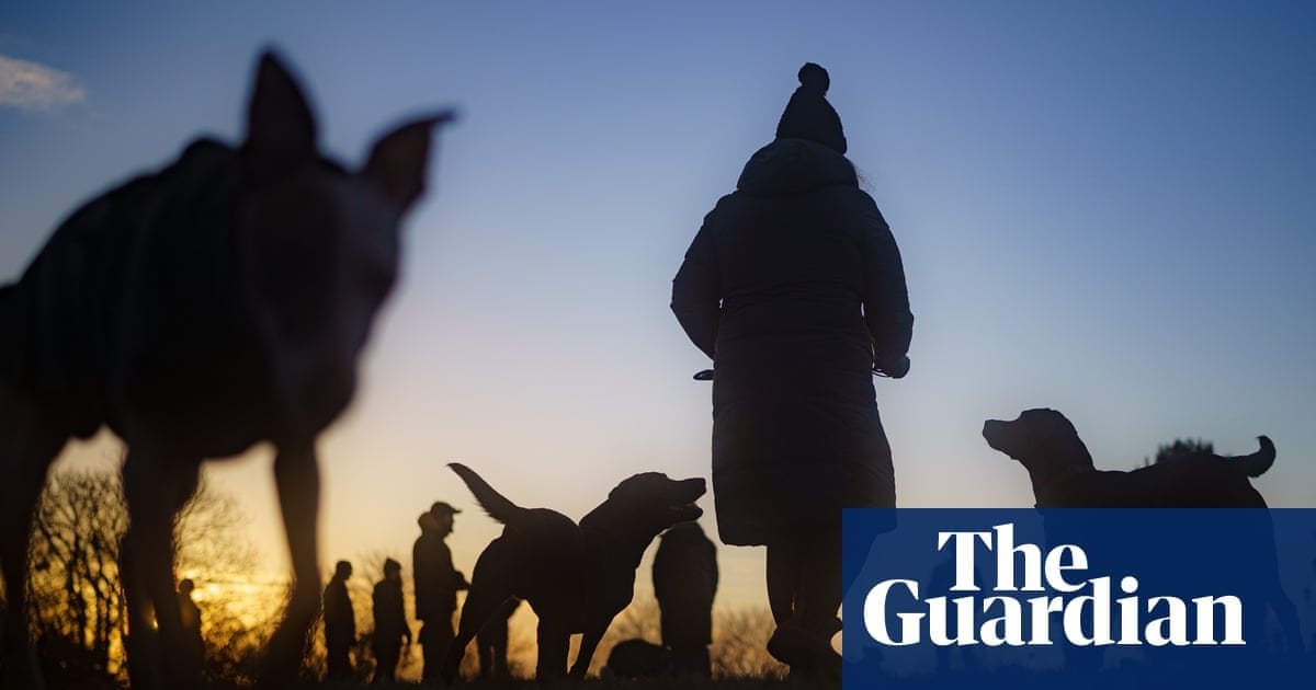 DJ, dog walker and homeopath among roles on UK skilled worker visa list. Many ‘middle-skilled’ jobs on eligible list may not be what people would consider critical roles, says Oxford academic