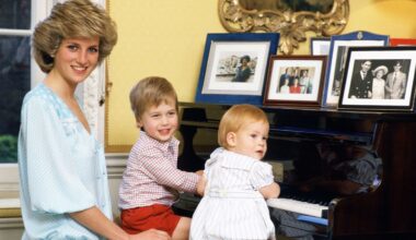 Prince Harry and Prince William Share This Parenting Conundrum as They Honor Princess Diana