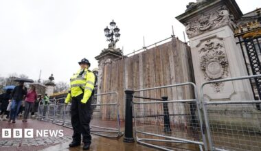 Buckingham Palace: Johnny Scott sentenced over gates crash