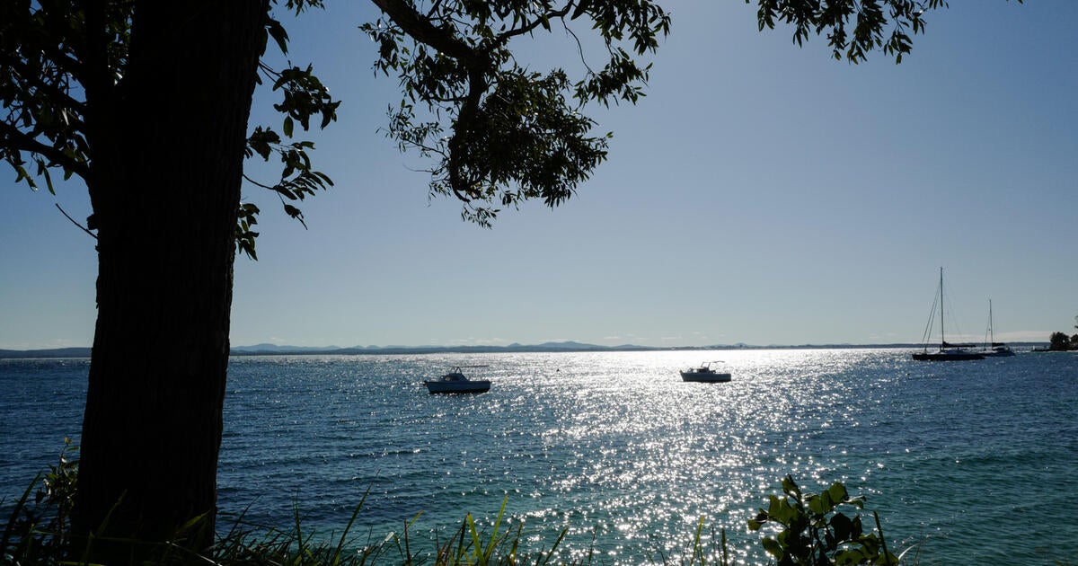 Missing fisherman was dragged overboard by shark entangled in fishing gear, Australian police say