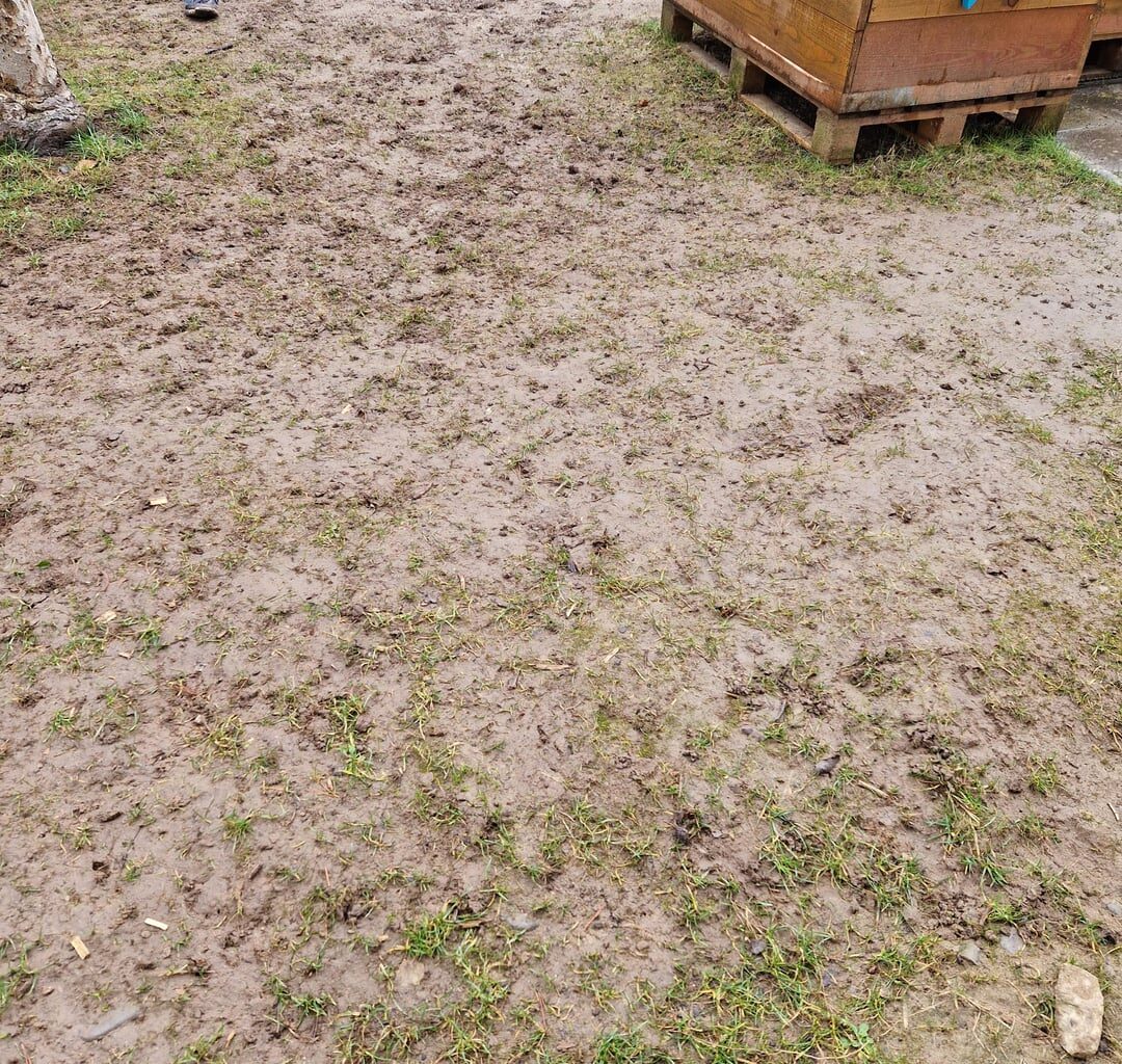 Rasenfläche erneuern