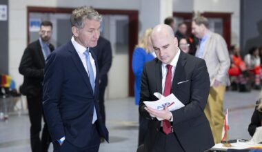 AfD im Bundestag - Höckes Männer