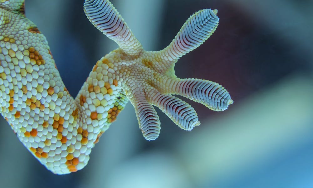 ScienceDaily: Environment - February 02, 2025