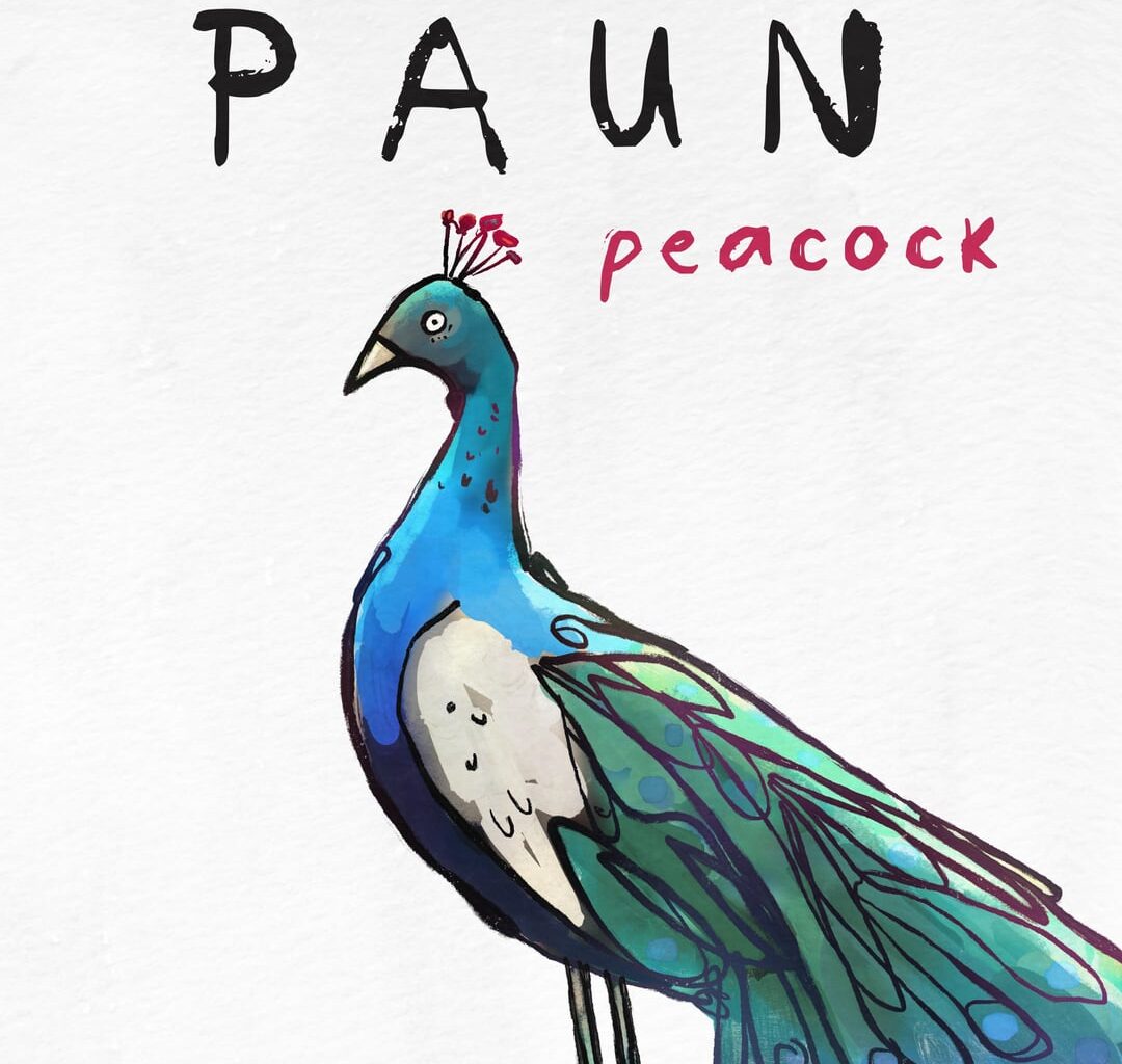 Dim Paun, Dim enill