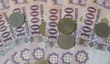 bne IntelliNews - Real wages in Hungary rise at fastest pace in 30 years in 2024