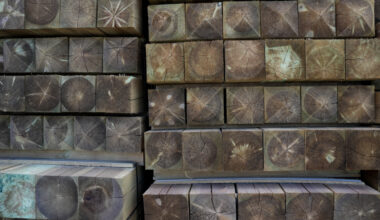 Latvian producer prices down on year, up on month in January / Article