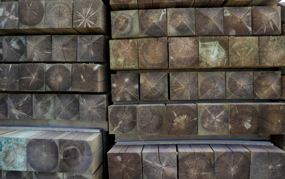 Latvian producer prices down on year, up on month in January / Article