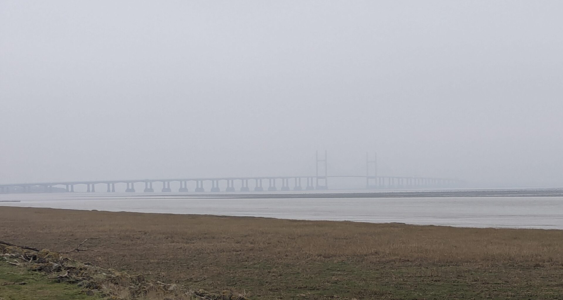 Murky morning on the Gwent Levels