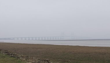 Murky morning on the Gwent Levels