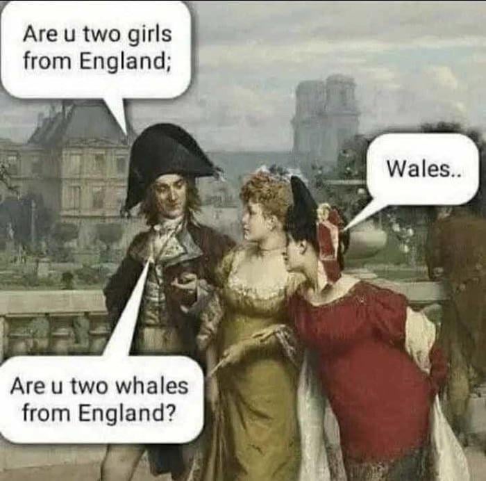 A Whale-y big misunderstanding 🐣
