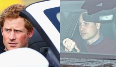Prince William, Prince Harry’s secret training for Royal safety revealed