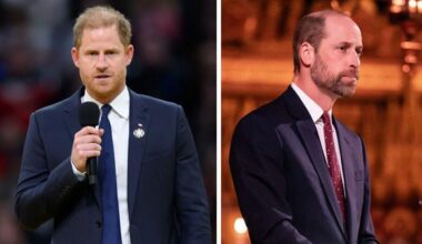 Prince Harry, Prince William come together as Palace gives new titles