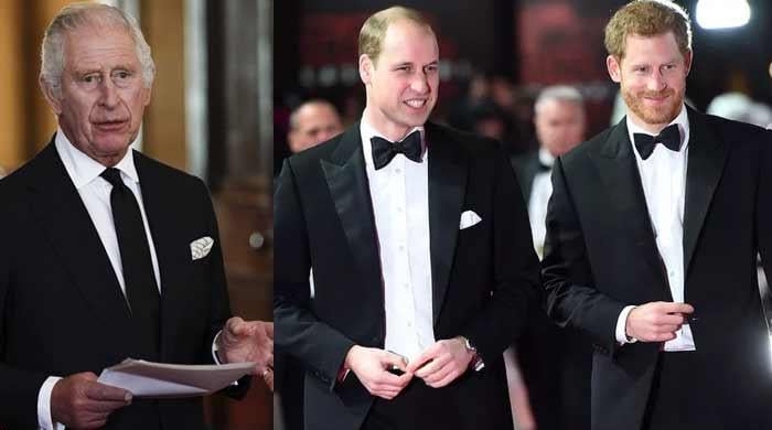 King Charles, Prince William won't tolerate Harry, Meghan's 'new annoying move'