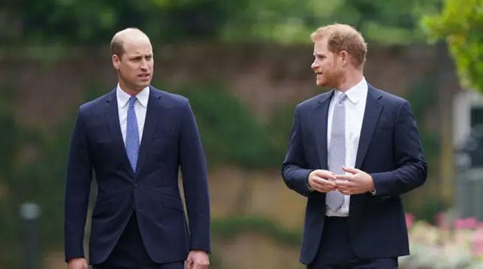 Prince Harry sees possibility of making amends with Prince William