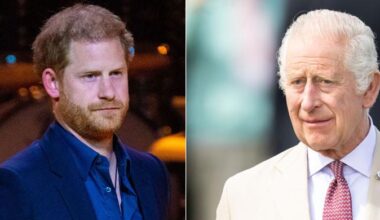 Prince Harry is risking King Charles' reputation with a diplomatic level threat?