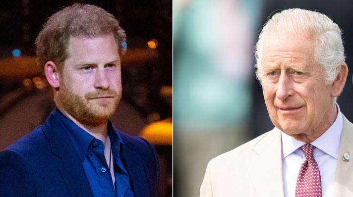 Prince Harry is risking King Charles' reputation with a diplomatic level threat?