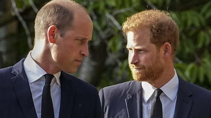 Prince Harry, Prince William share secret similarity despite royal rift