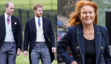 Sarah Ferguson sends important message to Prince William, Harry amid their rift