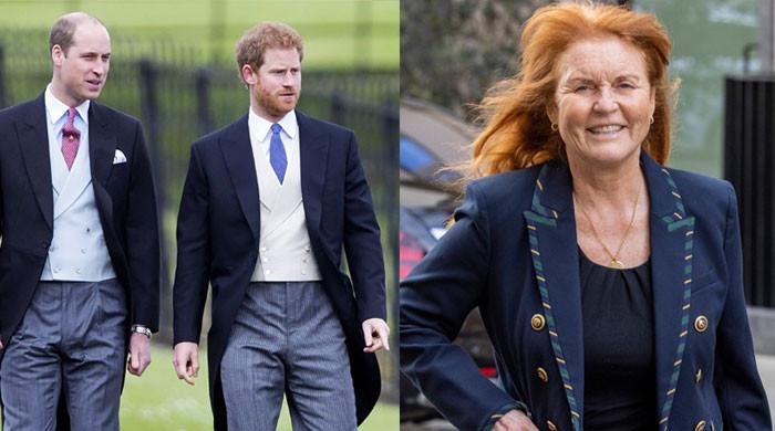 Sarah Ferguson sends important message to Prince William, Harry amid their rift