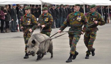 The Belgian army has a war hog. We will be taking Maastricht back with it soon